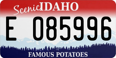 ID license plate E085996