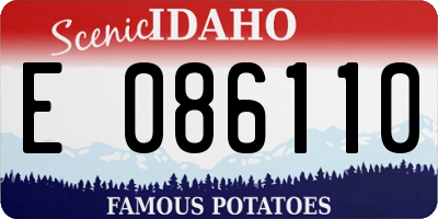 ID license plate E086110
