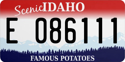 ID license plate E086111
