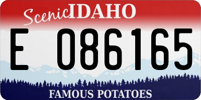 ID license plate E086165