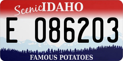 ID license plate E086203