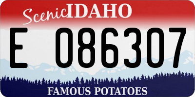 ID license plate E086307