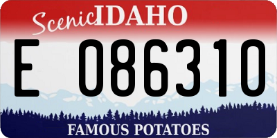 ID license plate E086310