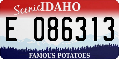ID license plate E086313