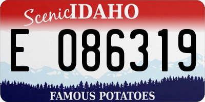 ID license plate E086319