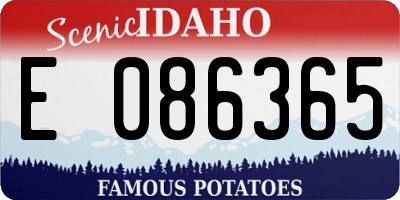 ID license plate E086365