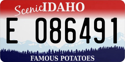 ID license plate E086491