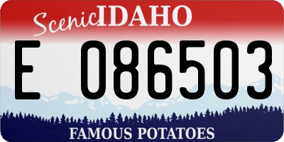 ID license plate E086503