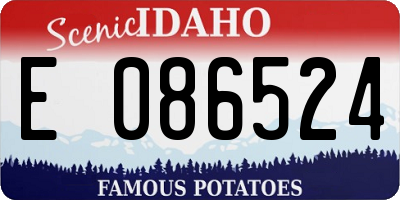 ID license plate E086524