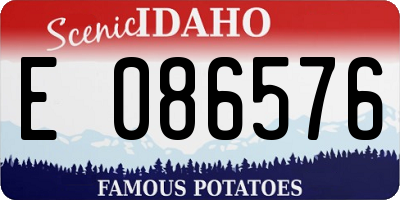 ID license plate E086576