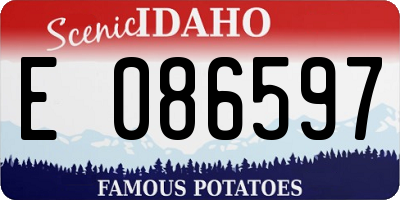 ID license plate E086597