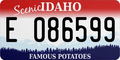ID license plate E086599