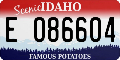 ID license plate E086604