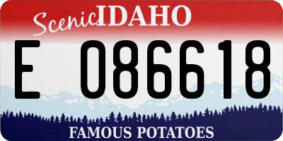 ID license plate E086618