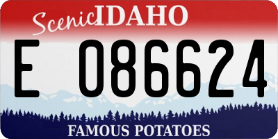 ID license plate E086624