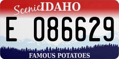 ID license plate E086629