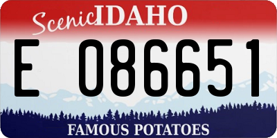 ID license plate E086651