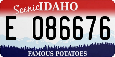 ID license plate E086676