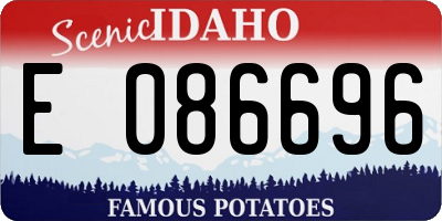 ID license plate E086696