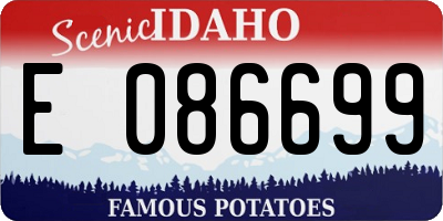 ID license plate E086699