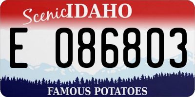 ID license plate E086803