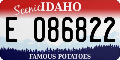 ID license plate E086822