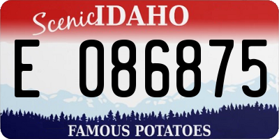 ID license plate E086875