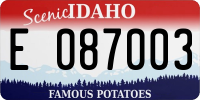 ID license plate E087003