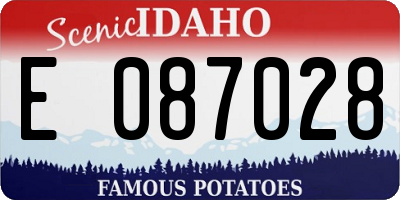ID license plate E087028