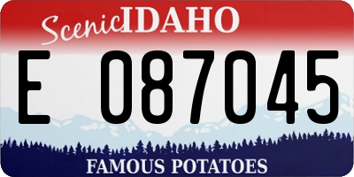 ID license plate E087045