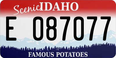 ID license plate E087077