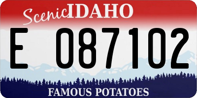 ID license plate E087102