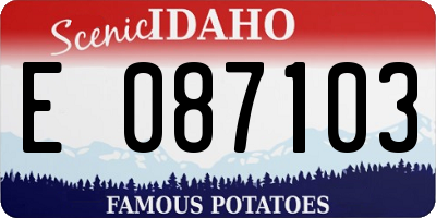 ID license plate E087103