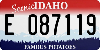 ID license plate E087119