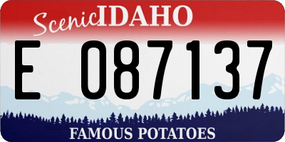 ID license plate E087137