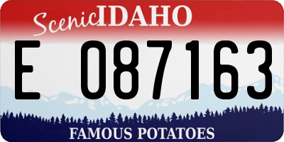 ID license plate E087163