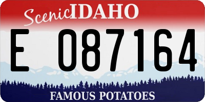 ID license plate E087164