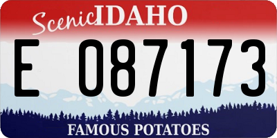 ID license plate E087173