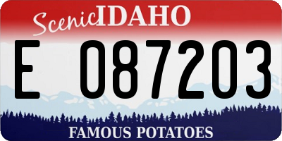ID license plate E087203