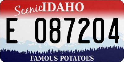 ID license plate E087204