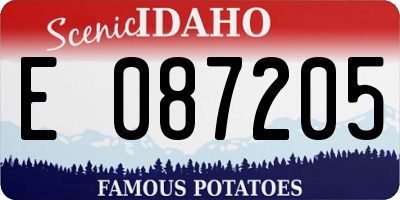 ID license plate E087205