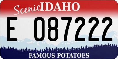 ID license plate E087222