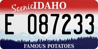 ID license plate E087233