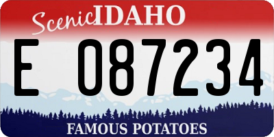 ID license plate E087234