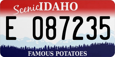 ID license plate E087235