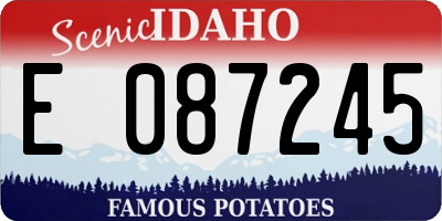 ID license plate E087245