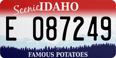 ID license plate E087249