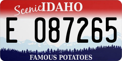 ID license plate E087265