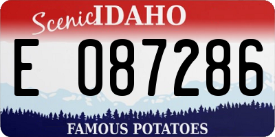 ID license plate E087286