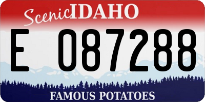ID license plate E087288